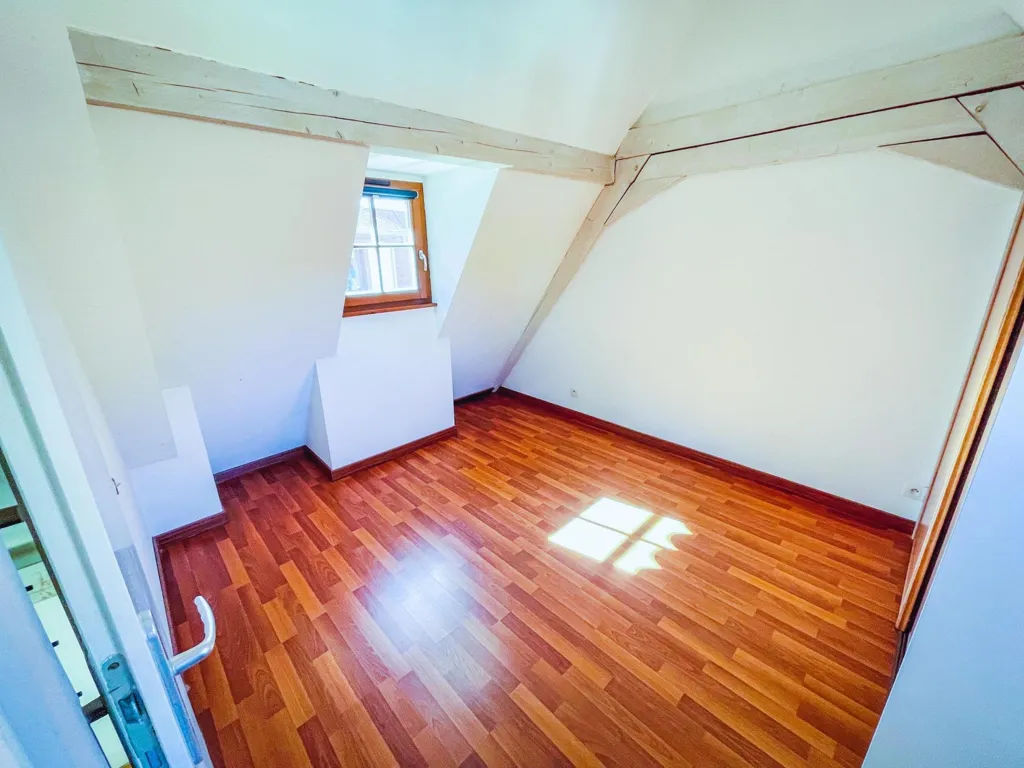 Toad - City Centre Duplex Apartment in Obernai