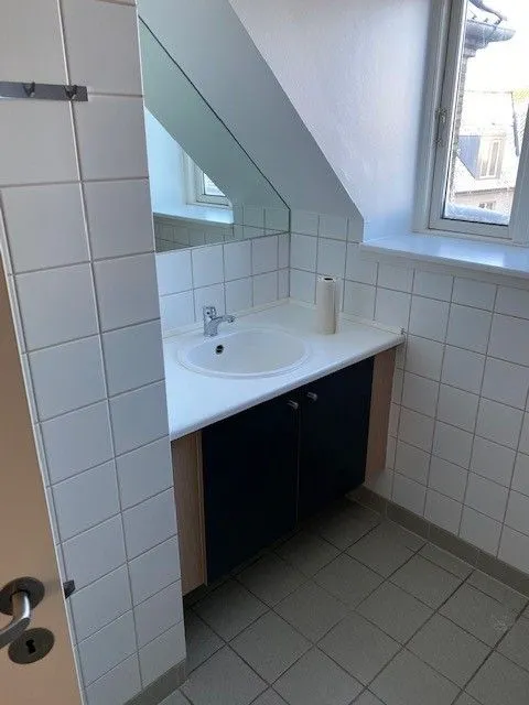 Bagni - Duplex Apartment with Elevator in Århus