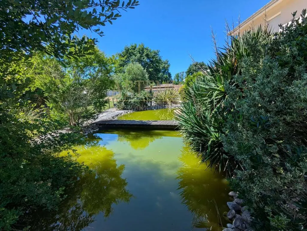 Giardino - Spacious House with Pool in Private Setting