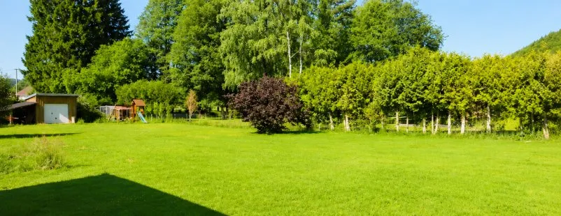 Jardin - Maison avec Piscine et Jardin à La Houssière