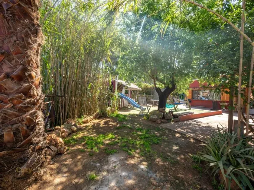Jardin - Chalet with Pool in Bunyola, Mallorca