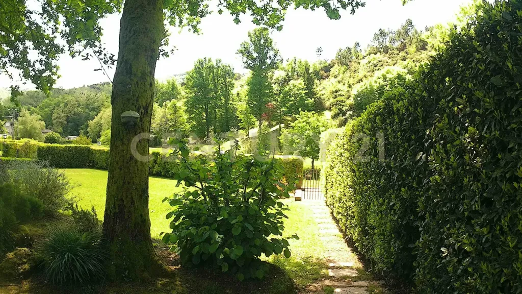 Jardin - Villa with Garden and Terrace in Pescaglia