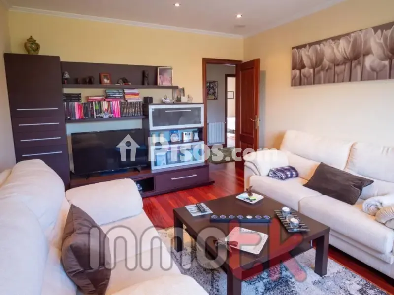 Séjour - Chalet with Garden in Carral, Belvis