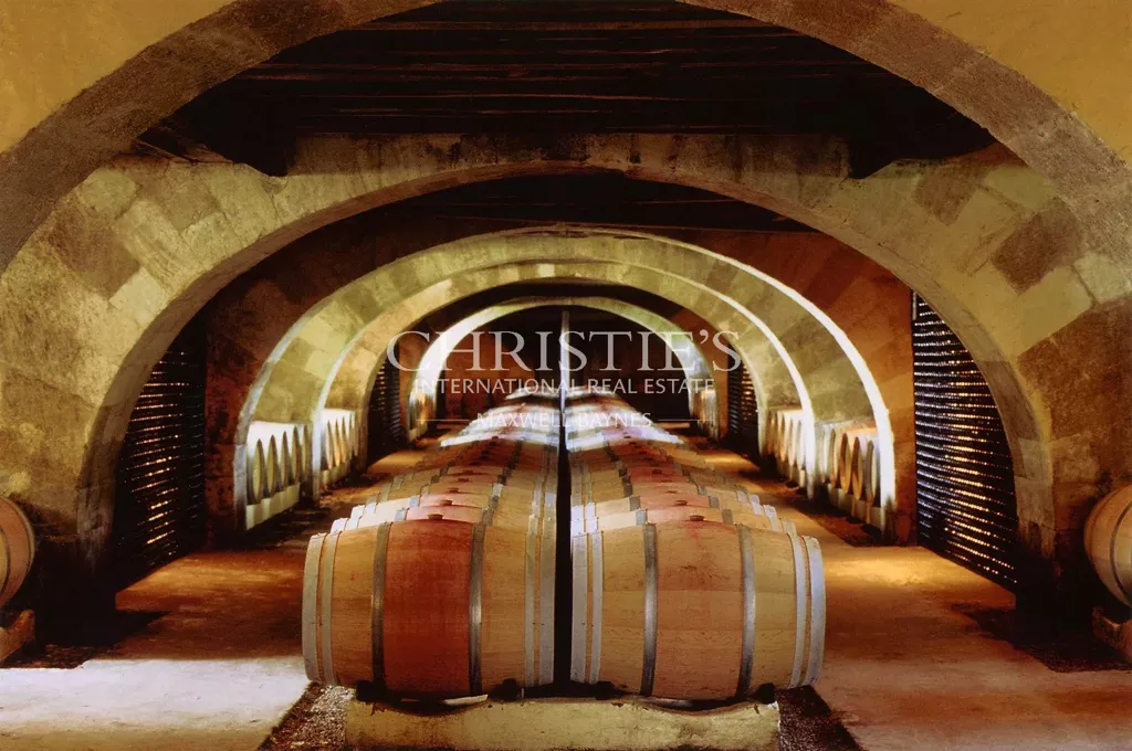 Pièces - Domaine Viticole Historique avec Château à Entre-Deux-Mers