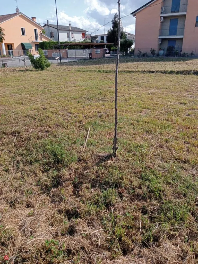 Jardin - Terraced Villa with Private Garden in Bosaro
