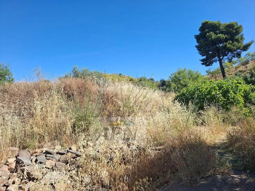 Jardin - Country House with Terraces in Álora
