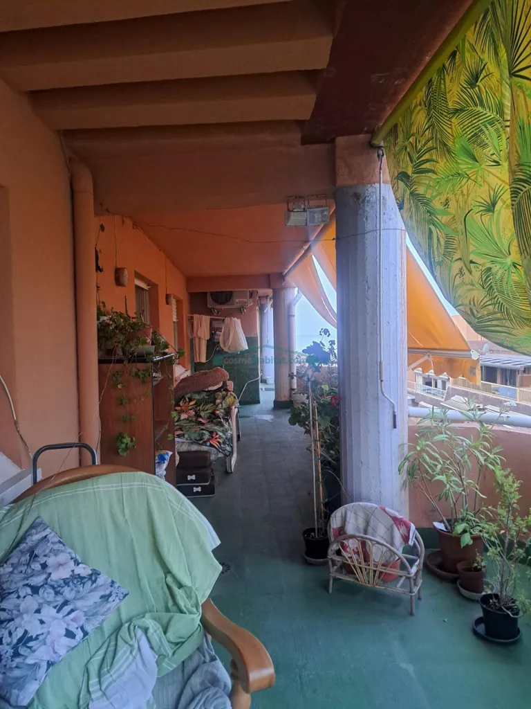 terrace_patio