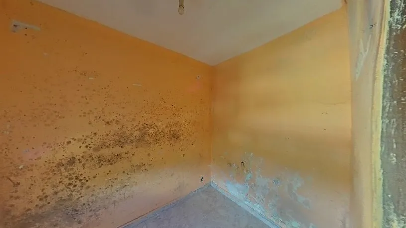 Toad - Functional Flat with Tour in Barcelona