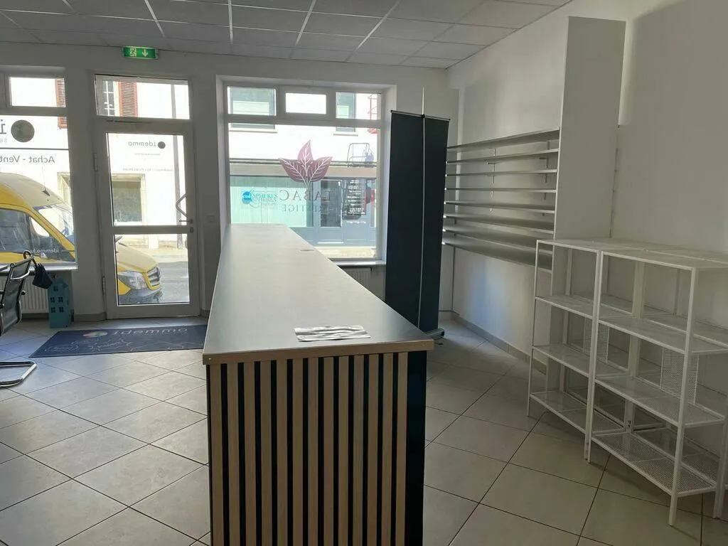 Toad - Commercial Space with High Visibility in Dommeldange