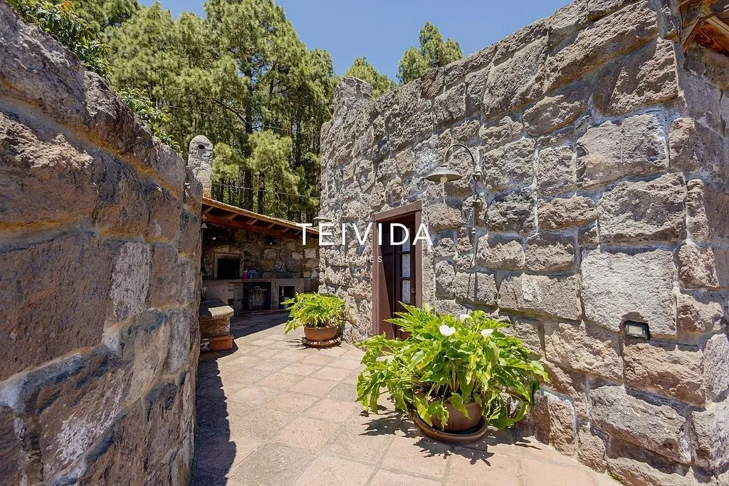 Garden - Villa with Pool and Bodega in El Rosario