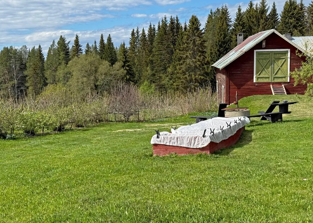 Aed - Farm with Land near Ås, Jämtland