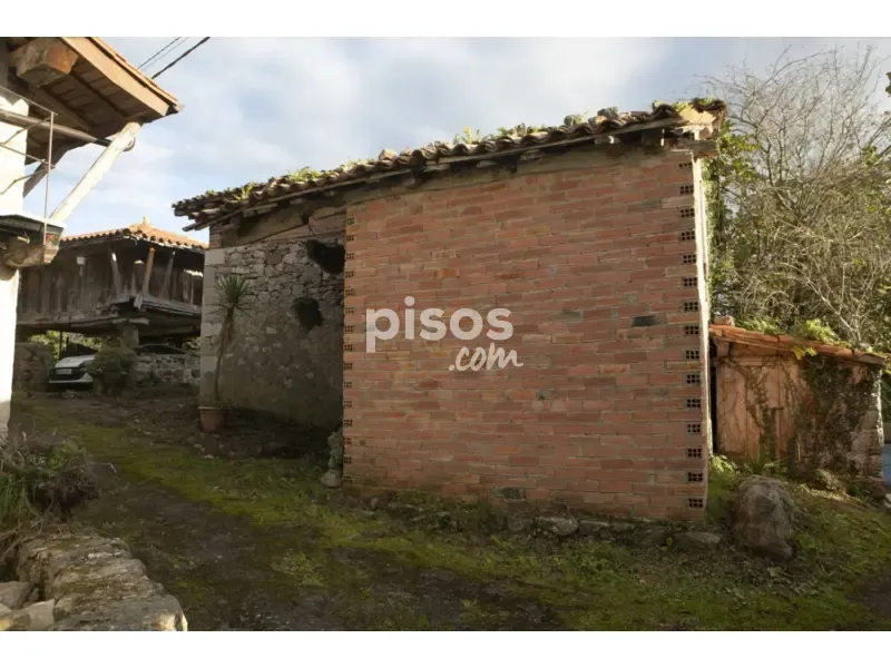 Exterior - Traditional Asturian Rural Complex in Buslaz
