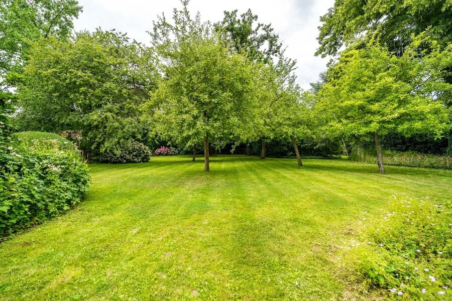 Jardin - Maison avec jardin paysager et piscine à Uccle