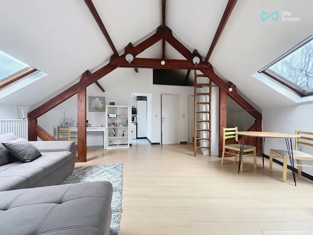 Toad - Income-Generating Property with 5 Units in Schaerbeek