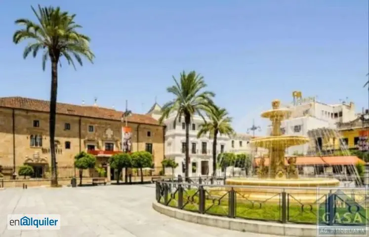 Flat with Central Location in Argentina