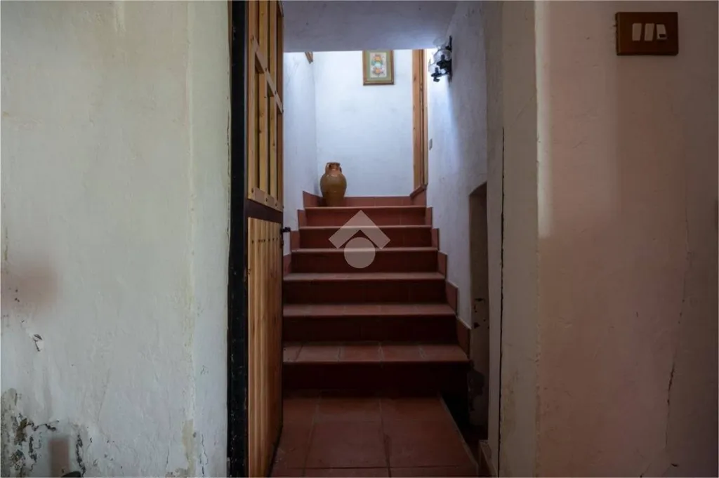 Toad - Semi-detached House with Garden in Envie