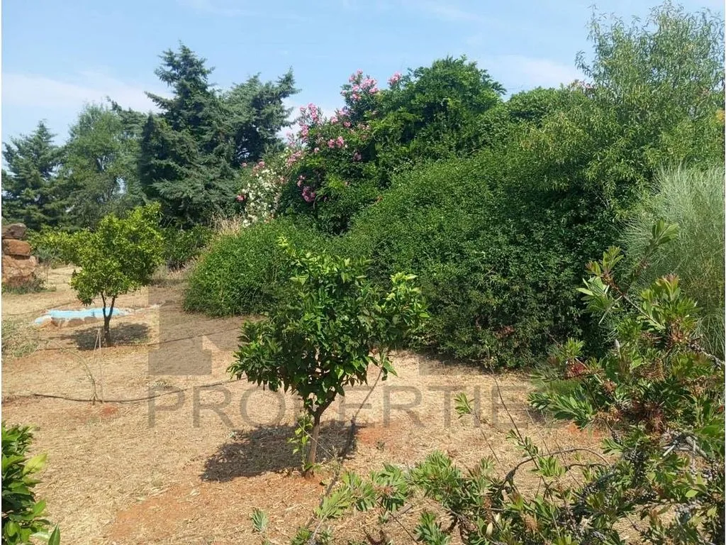 Aed - Rural Cortijo with Pool near Alange