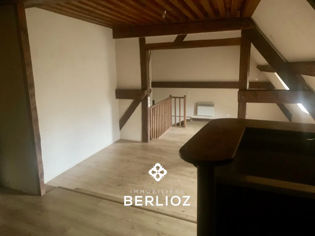 Toad - Duplex Apartment in Château d'Uriage