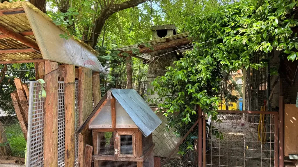 Jardin - Rustic Villa with Garden in Fonzaso