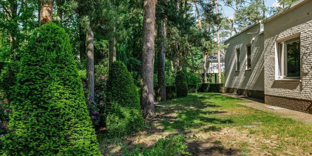 Jardin - Bungalow avec Jardin dans la Berkenlaan à Waasmunster