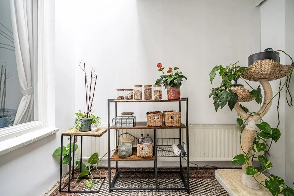 3-toaline maja asukohas Leiden