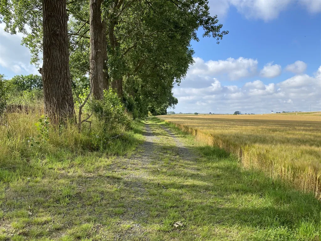 Aed - Large Natural Plot with Farmhouse in Simrishamn