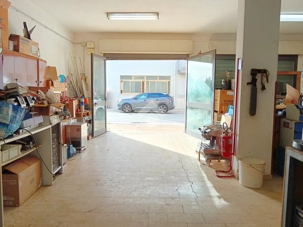 Garaaž - Warehouse with Double Garage Doors in Villa Rosina