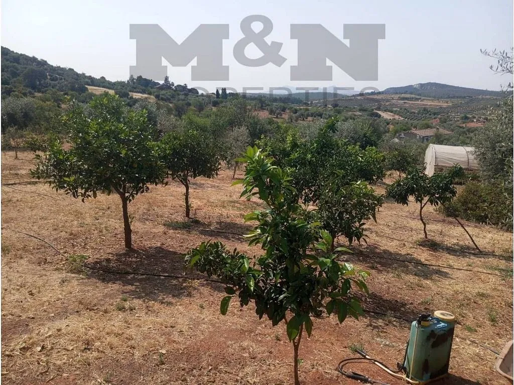 Aed - Rural Cortijo with Pool near Alange