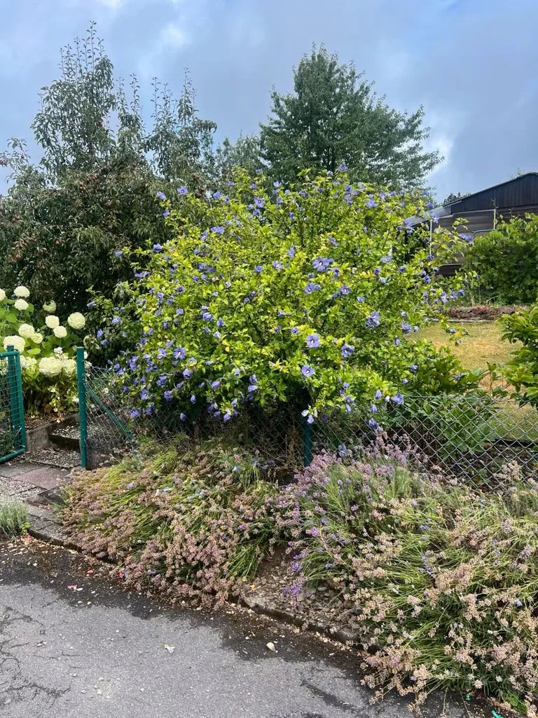 Giardino - Garden Plot with Cottage in Forest Area