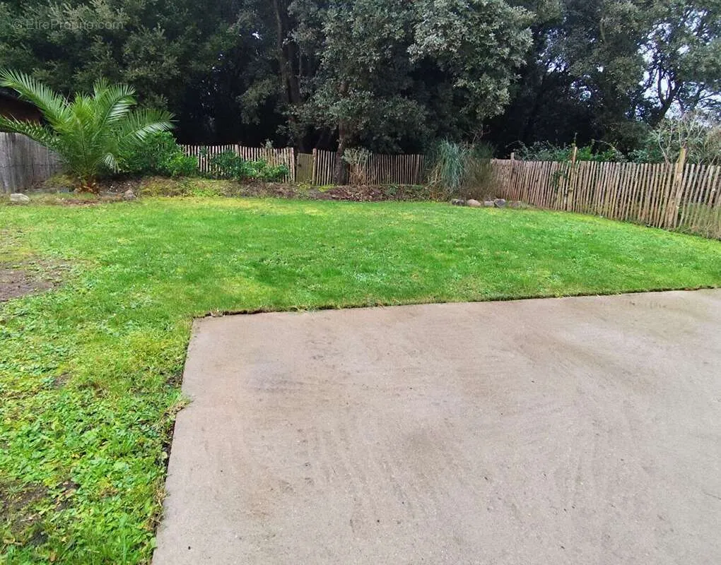 Jardin - Maison Récemment Construite avec Jardin à Batz-sur-Mer