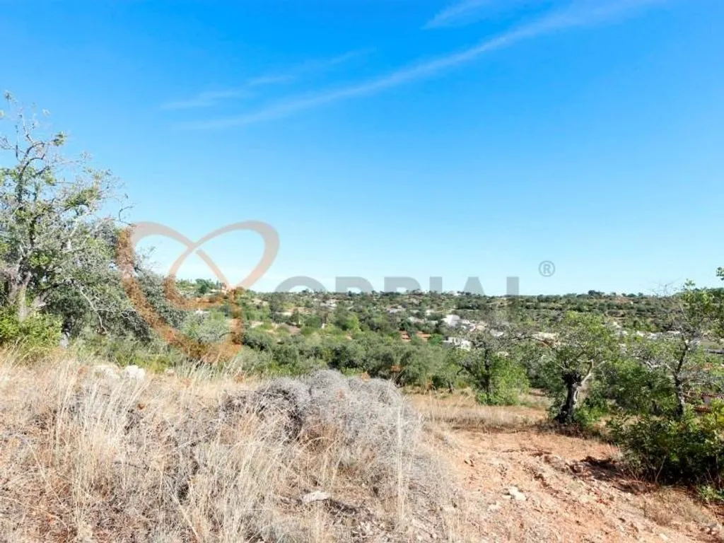 Aed - Development Land for Rural Hotel in Loulé