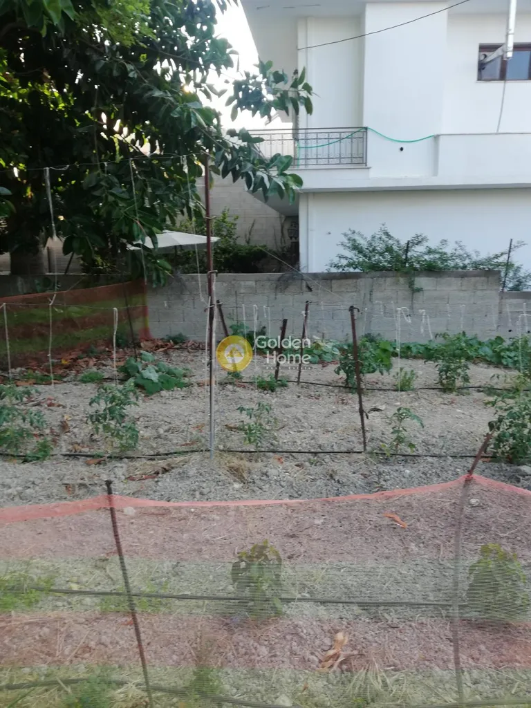 Aed - Plot with Old House in Agios Ioannis, Heraklion