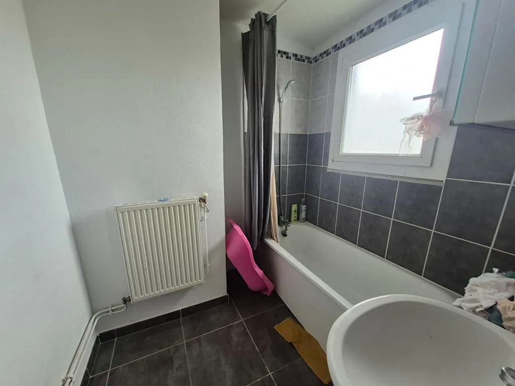 Vannitoad - Traversant Apartment with Terrace in Roubaix