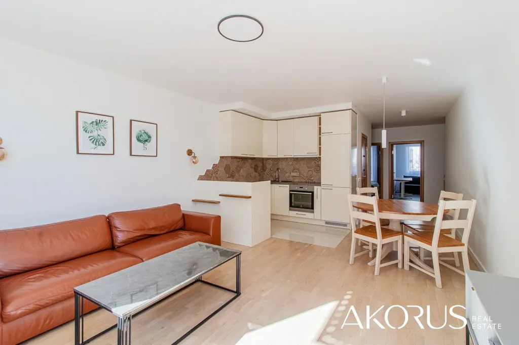 Séjour - Apartment with South-Facing Terrace in Žirmūnai