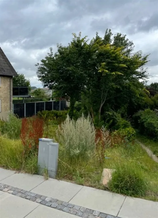 Aed - Year-Round Plot in Hobro