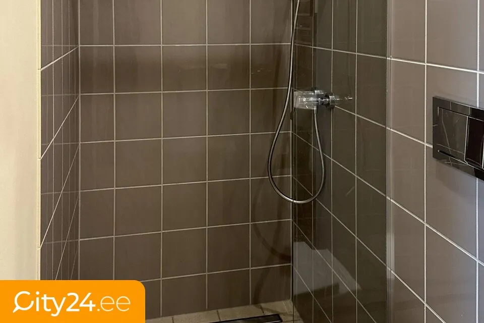Vannitoad - Furnished Studio in Art Nouveau Building, Riga Centre