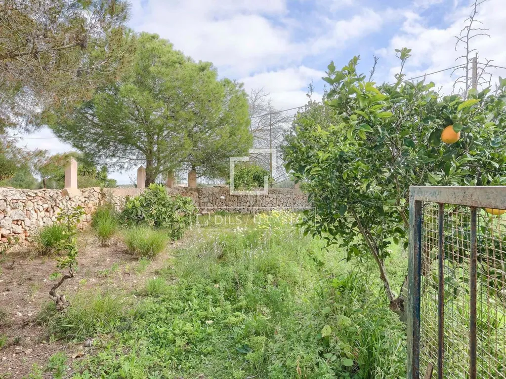Jardin - Historic Estate with Equestrian Potential in Llucmajor