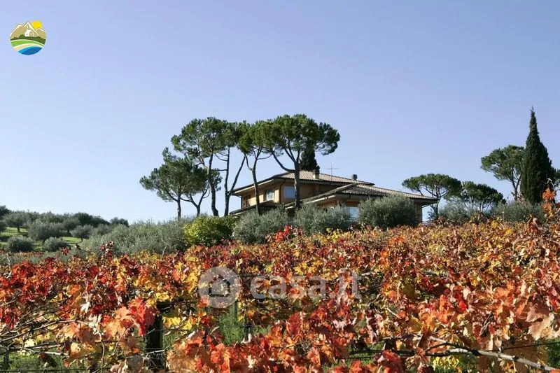 Jardin - Panoramic Villa with Private Park in Notaresco