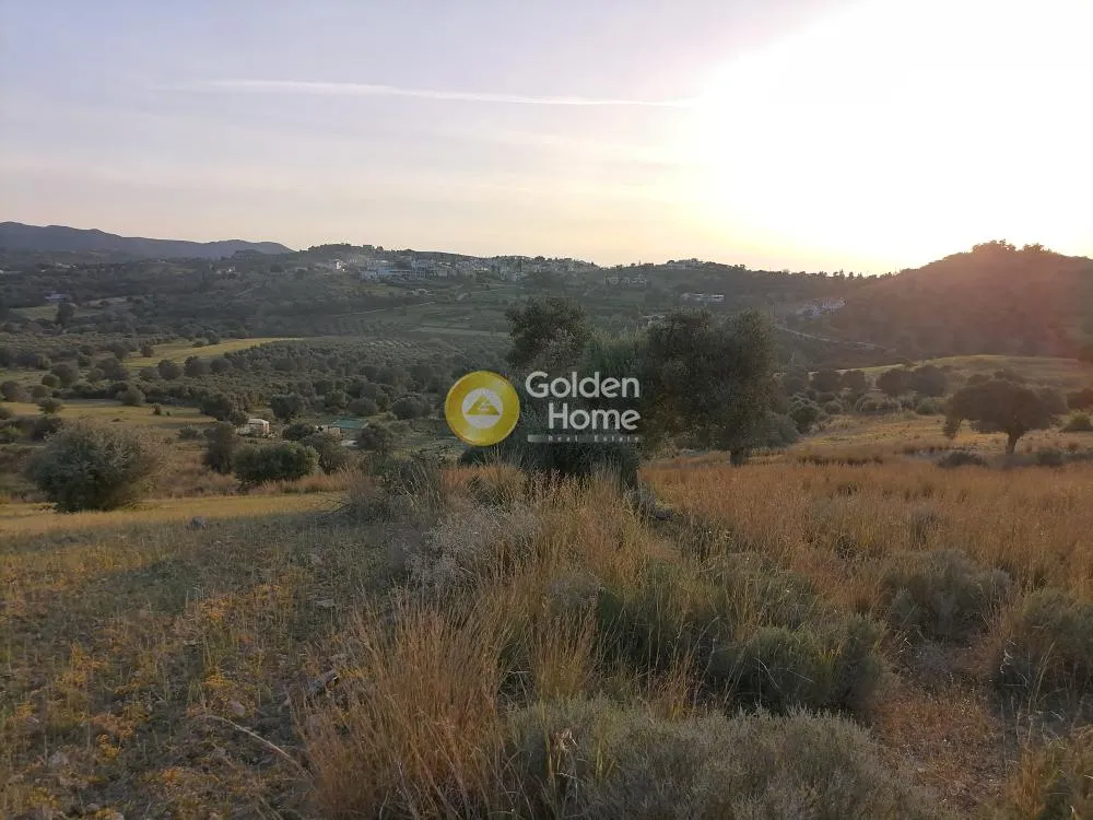 Aed - Agricultural Plot with Panoramic Views in Phaistos