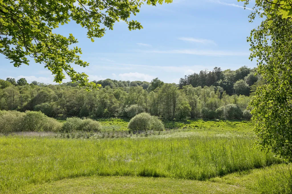 Giardino - Modernised Farmhouse with Private Lake in Stenstrup