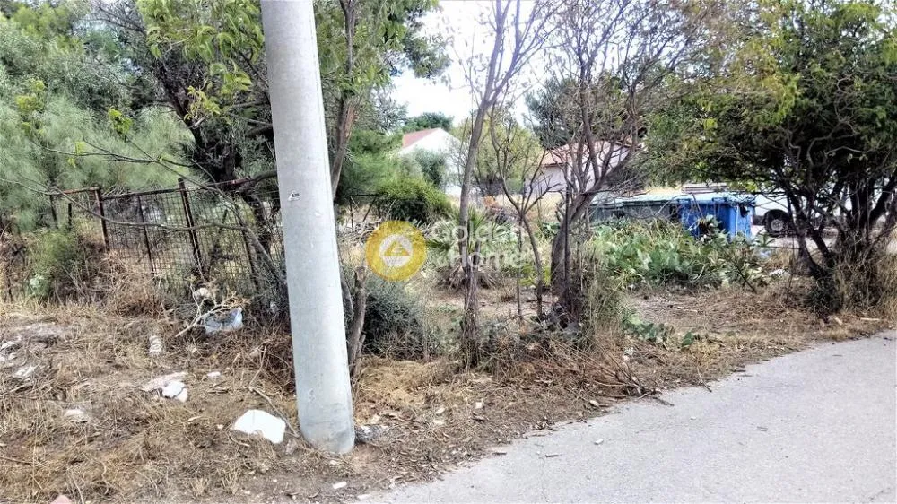 Jardin - Agricultural Plot with Mountain View in Acharnes Menidi