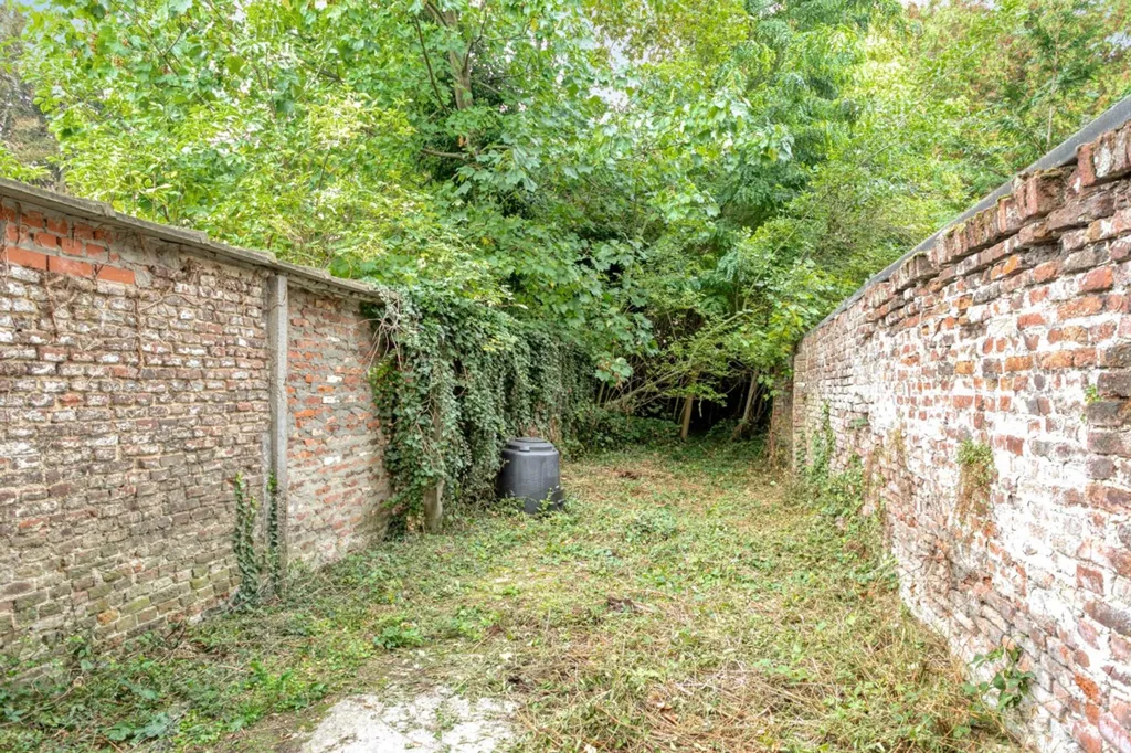 garden