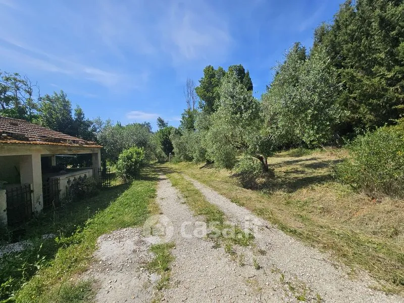 Aed - Rustic Casale with Olive Grove in Polverigi