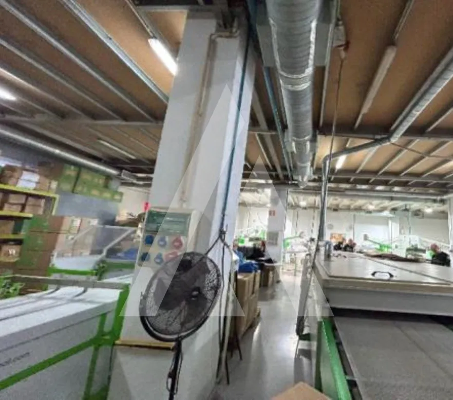 Toad - Multifunctional Industrial Warehouse in Marvila, Lisbon