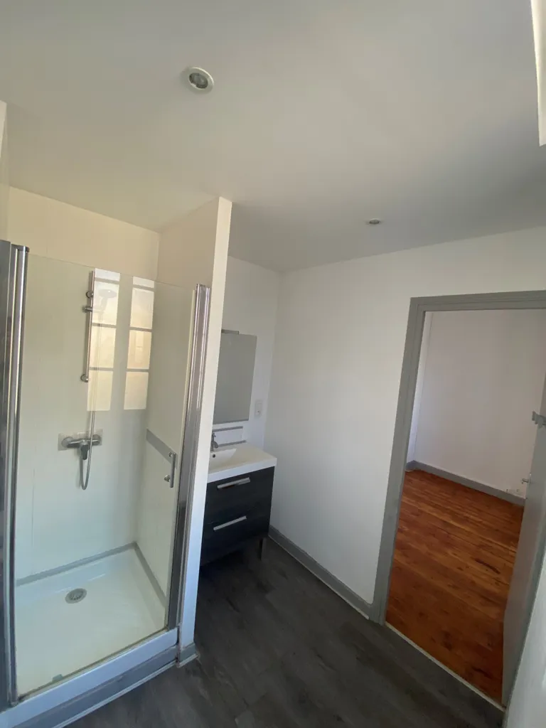 Salles de bain - Appartement Rénové de Type 3 au Centre de Castelnaudary