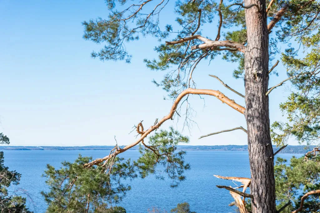Aed - Plot with Lake View in Svärtinge, Östergötland