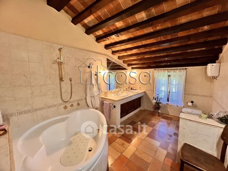 Vannitoad - Rustic Tuscan Casale with Olive Grove in Anghiari