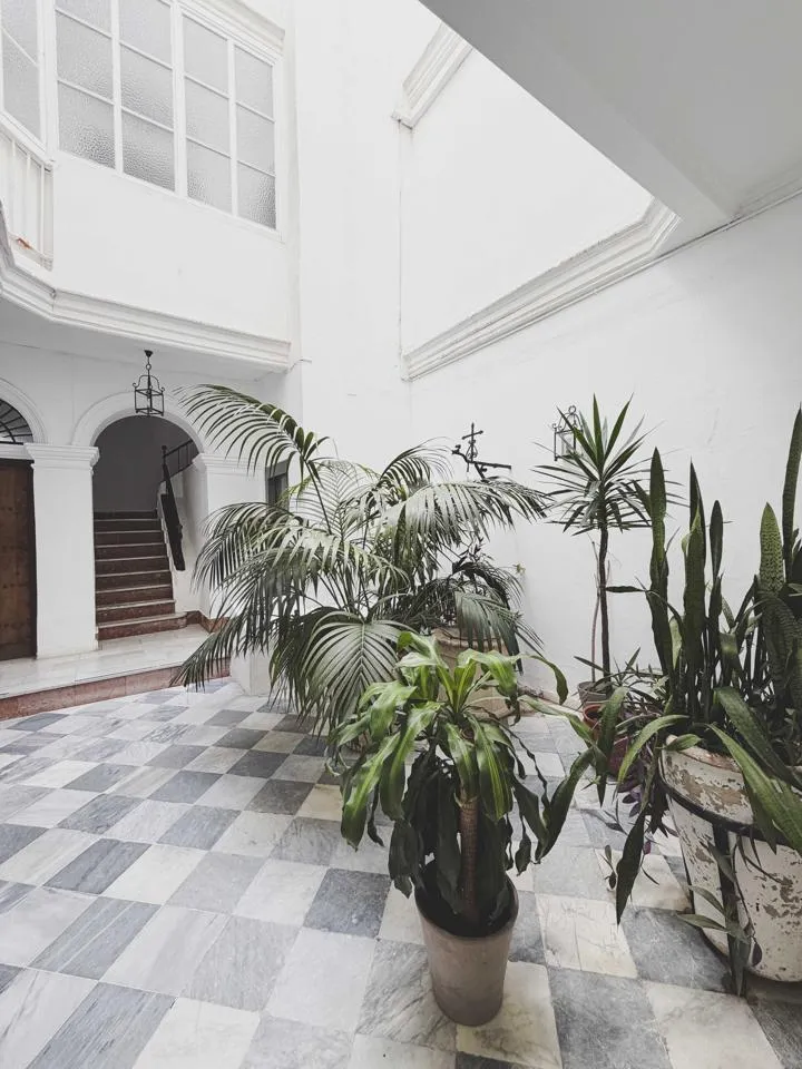 Jardin - Historic Flat with Balcony in Plaza España