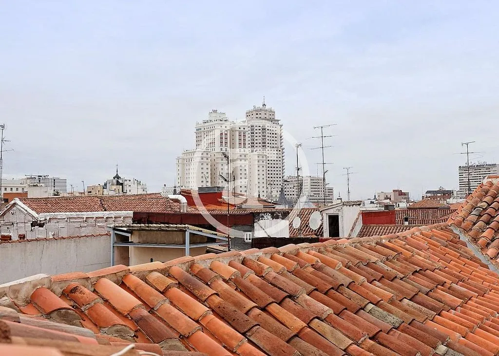 Terrasse - Modern Duplex with Ascensor in Malasaña