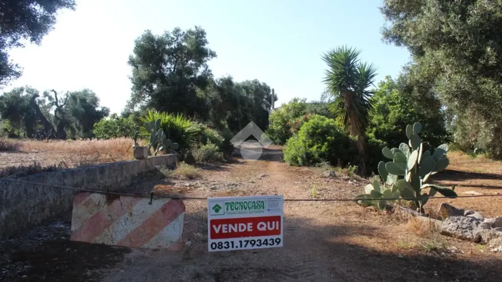 Jardin - Rustic Farmhouse with Pool Potential in Carovigno